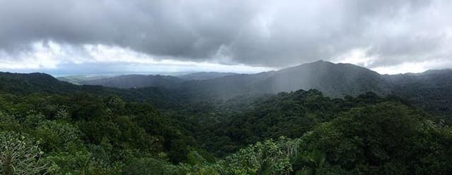 El Yunque Rainforest Puerto Rico