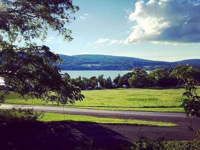 Finger Lakes Vineyard Landscape