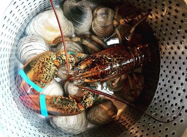 Lobster and Clams Basket