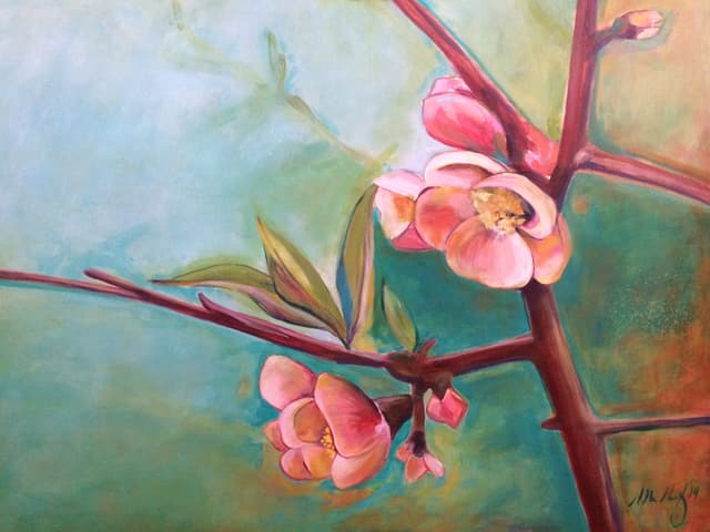 Cherry Blossoms on Branch