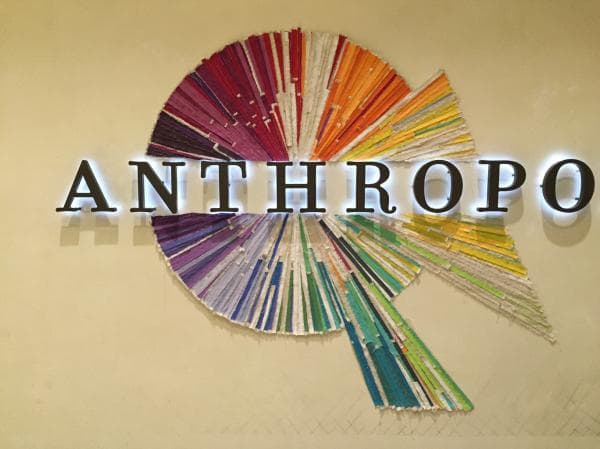 Anthropologie Color Swatch Display