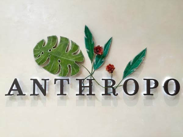 Anthropologie Retail Window Display