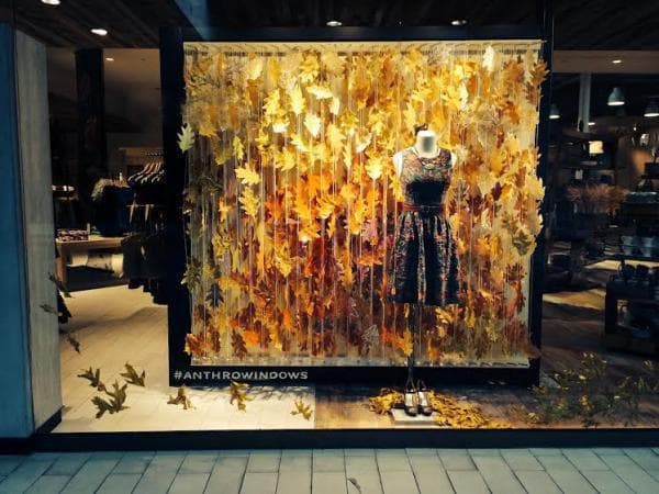 Fall Echo Window Installation