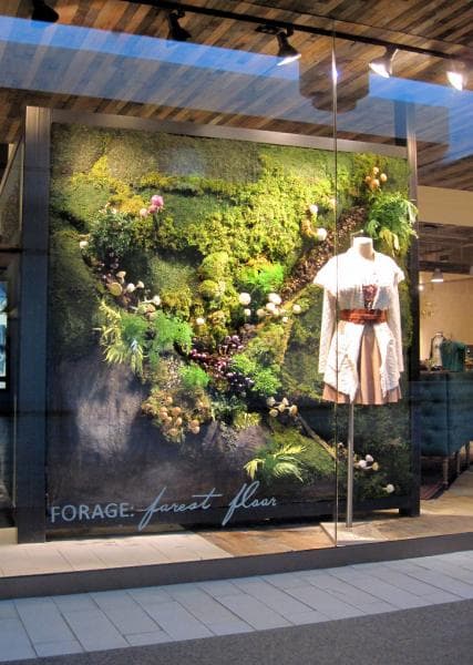 Forage Window Display