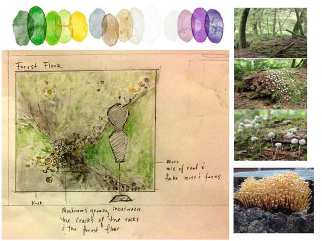 Forest Floor Nature Study