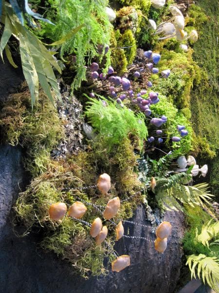 Moss Mushroom Forest Detail