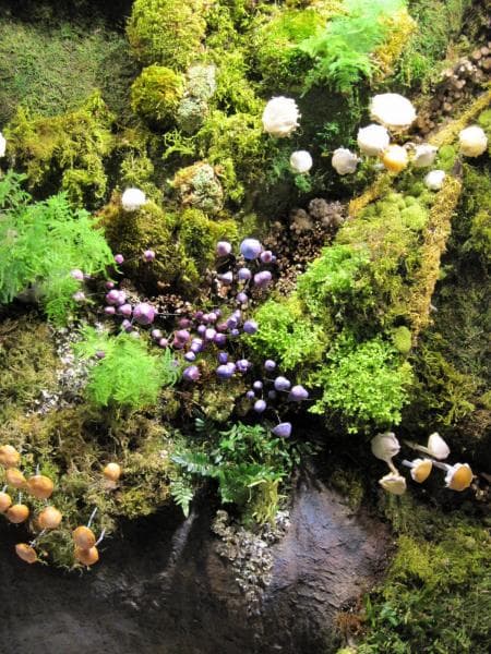 Moss Mushroom Installation Detail