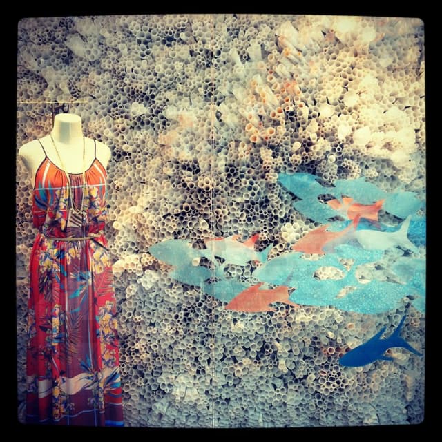 Retail Window Fish Display